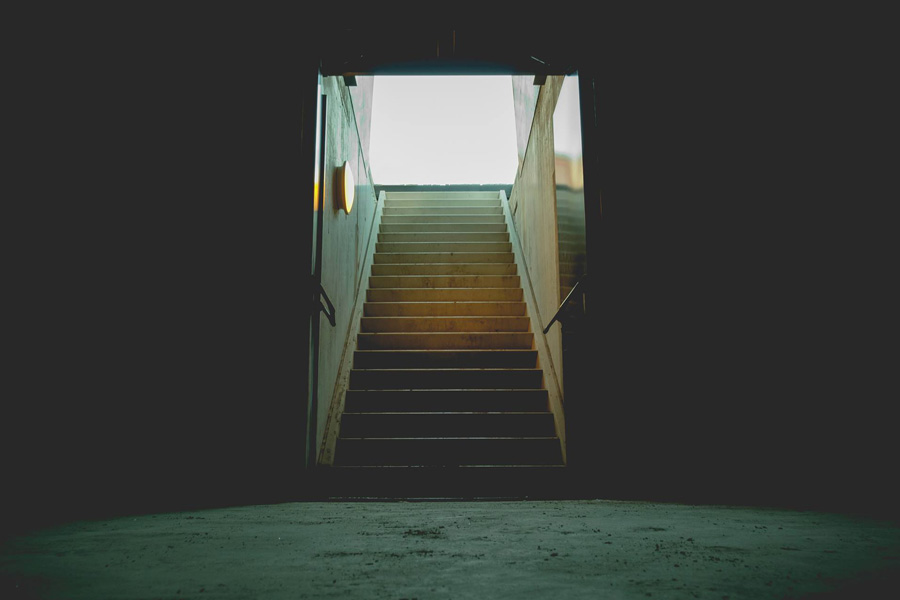 Shelter