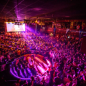 Sala Apolo in Barcelona will hold a concert with a rapid COVID-19 test