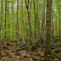 Sónar presents new editions of AI and Music S+T+ARTS & SónarCCCB